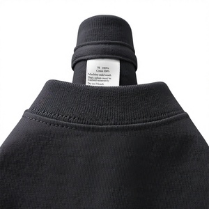 Camiseta de Punto Grueso de 250 g/m², Personalizable con Logotipo DTG, 100% Algodón, Manga Corta, Unisex, Estilo Urbano - Product Image 1