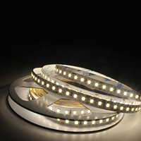Bande d'éclairage linéaire d'intense luminosité 24V 120 Led/m SMD 2835 imperméable à l'eau