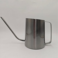 DD4548 arrosoir moderne en acier inoxydable de grande capacité 1.6L avec pot d'arrosage à longue bouche oblique