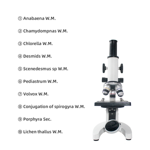 Lames de microscope cellulaire d'algues FRT3002 <span class=keywords><strong>Lichen</strong></span> Thallus Anabaena Biologie Enseignement Recherche Algues 10 articles Lames Botanique Verre - Product Image 3