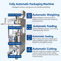 Machine d'emballage automatique stable et performante pour chips de pommes de terre, tranches de bananes et snacks soufflés, avec pesage et remplissage précis
