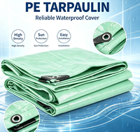 Bâche en PE tissé imperméable, résistante aux UV, ignifuge, feuille plastique de protection pour toiture