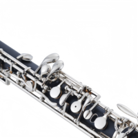 Wholesale Professional Musical Woodwind Instruments Semi Automatic Button Bakelite 22 Key C Tone Oboe Nickel Plated with Case