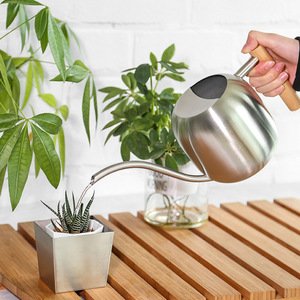Arrosoir à long bec double orifice avec poignée en bois, débit d'eau réglable, capacité 1L/1.2L, portable, pour jardin domestique et vert - Product Image 1
