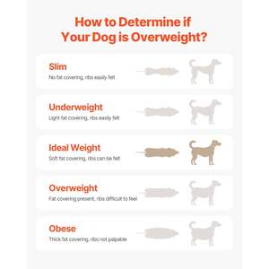 DB Indoor Pet <b>Running</b> <b>Machine</b> Custom Weight <b>Dog</b> Treadmill for Medium <b>Dogs</b> up to 220 Lbs Training Tool Made of Wood Paper Alloy - Product Image 5