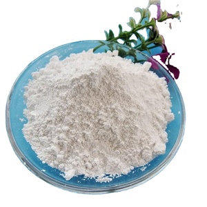 Cao lanh metakaolin nung rửa Bột Đất Sét cho ứng dụng giấy - Product Image 3