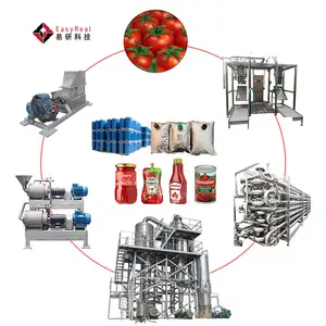 Küçük domates konsantresi macun ketçap suyu Passata Salsa üretim tesisi makinesi işlemci makineleri