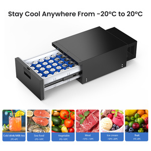 High Quality Customized Mobile Drawer <strong>Fridge</strong> Freezers for Truck 4x4 caravan Vehicle AC/DC <strong>12</strong>/24V Compressor Portable Cooler Box - Product Image 5