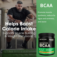 OEM Hot Sale Wholesale Food-Grade BCAA Powder Bodybuilding Supplement Branched Chain Amino Acid Powder for Adults