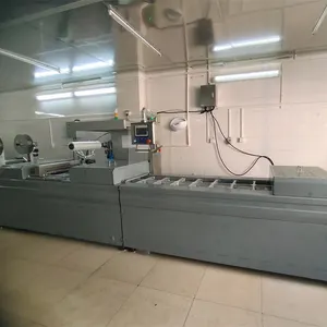 Automatic Grade Auto Gas Thermoforming Vacuum Packing Machine for Pork Vegetable Cheese Plastic Packaging Food Vacuum Packing