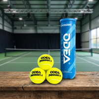 Balle de tennis de plage ODEA portable haute durabilité en laine et caoutchouc, emballage personnalisé Passion Tour, pour entraînement quotidien à faible coût