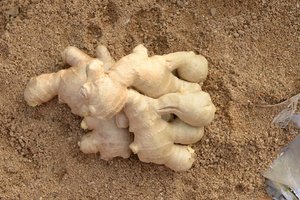 Bán cũng loại mới phát hiện của dư lượng thuốc trừ sâu miễn phí gừng nén nóng gừng tự nhiên - Product Image 4