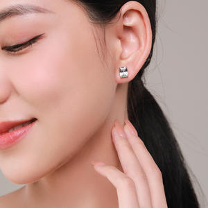 Boucles d'oreilles clous rectangulaires en argent sterling S925 avec zircone taille radiant, version cuivre personnalisable, pour femme, cadeau d'anniversaire - Product Image 5