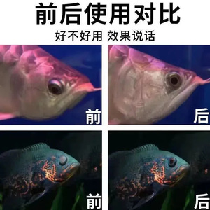 JuJia Soin des yeux pour poissons 140g Anti-gonflement pour Arowana, Poisson-papillon, Poisson-roux - Product Image 3