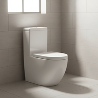 WC moderne en céramique à double chasse, à fermeture douce, monobloc, à chasse directe sans bride pour salle de bain