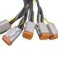 DT06-6S-arnés de cableado automotriz de DT06-2S, arnés de cableado de color colorido o OEM