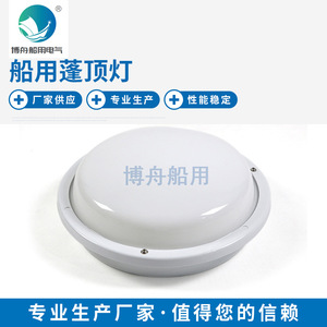 Lumière de Plafond à Ampoule Unique pour Auvent Bozhou Marine Wholesale CPD2-1 - Product Image 5