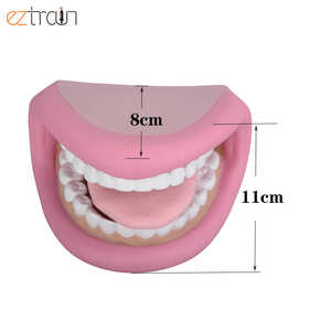Marionnette buccale dentaire en PVC de qualité 11x18cm, nouveau design pour les dentistes, les écoles, les enfants, la thérapie orthophonique et l'apprentissage du brossage des dents - Product Image 6