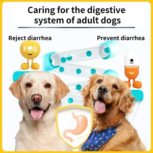 थोक 2.5 किलोग्राम 5 किलोग्राम 10 किलोग्राम 15 किलोग्राम 20 किलोग्राम कस्टम स्वस्थ उच्च प्रोटीन कुत्ता पूरा पोषण वास्तविक चिकन संवेदनशील पाचन शुष्क भोजन - Product Image 3