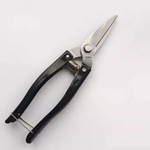 Ciseaux à fruits Luoding en acier inoxydable, grande tête, lame de 35 mm, manche noir, finition polie pour l'éclaircissement des oranges, mandarines et pamplemousses - Product Image 1