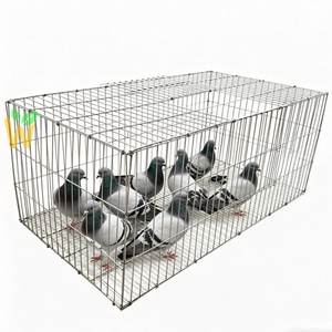 Diseño de <span class=keywords><strong>jaula</strong></span> <span class=keywords><strong>para</strong></span> gallos, conejos y gallinas; jaulas caseras <span class=keywords><strong>para</strong></span> pollos - Product Image 4