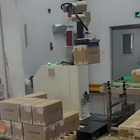 Robot palettiseur automatique collaboratif Machine à empiler Cobot Carton Case Bag Palettizer PLC Discount Price Robot Stacker Food
