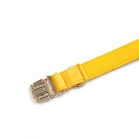Articles phares 2024 : Collier pour chien réglable en velours jaune, Collier pour chien personnalisé bleu lac, Collier pour chien élégant couleur avocat, Matériel métallique
