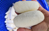 Machines de traitement du manioc bon marché Tapioca Manioc dissolvant de peau Manioc lavage tranchage éplucheur Machine au Nigeria