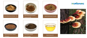Top-bán Reishi Nấm Mushroom extract-Độ tinh khiết cao <span class=keywords><strong>Ganoderma</strong></span> lucidum cho sản phẩm tự nhiên - Product Image 4