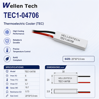 Cellule TEC de refroidissement de surface TEC1-04706 20x30x3.9 mm 5.7 V 6 A pour contrôle thermique de la douille de test de semi-conducteurs