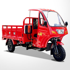 Motocicleta de alta calidad, triciclo de carga de 2024, motor de refrigeración por agua de 250cc, coche de 3 ruedas motorizado a la <span class=keywords><strong>venta</strong></span>, trimoto de carga de - Product Image 2