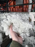 Fibre de polypropylène conjugué creux (HCS) 100 % recyclée OEKO-TEX, brin coupé 15D, 3-12 mm, certifiée ISO9001 pour la construction