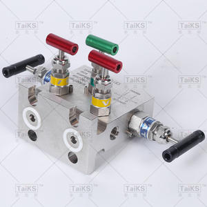 Collecteurs à cinq vannes de type T fournis par le fabricant, vannes à aiguille en acier inoxydable avec raccord à filetage interne, vannes de régulation - Product Image 2