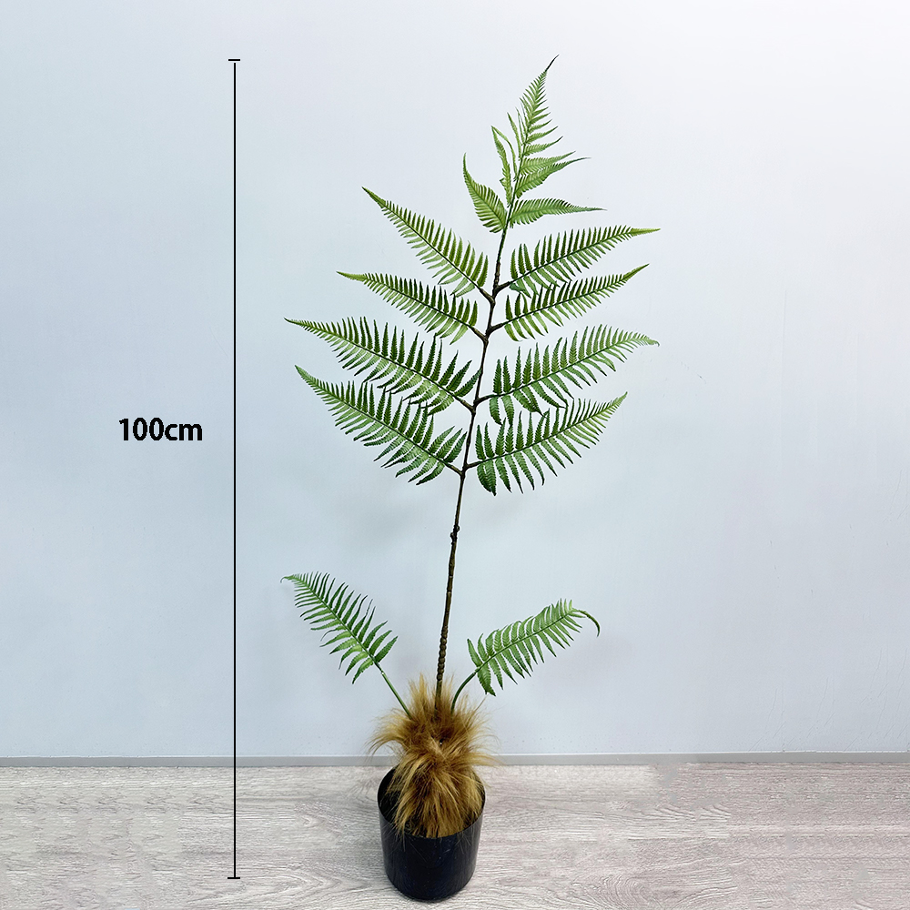 100cm(39.37in)