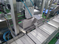 RHBB430 machine à emballer automatique de pain frais de boulangerie pain grillé biscuit croissant pain oreiller