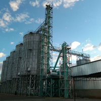 Elevatore a Benna ad Alta Efficienza per Sistema di Movimentazione Cereali e Silos di Riso, Produzione ODM