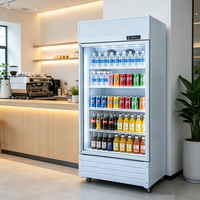 Réfrigérateur commercial à 2 portes pour boissons, vitrine réfrigérée, refroidissement par air, sans givre, réfrigérateur vertical, étagères réglables, numérique