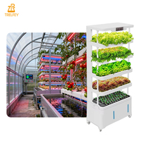 Système de culture hydroponique intelligent pour plantes d'intérieur, herbes aromatiques et myrtilles, avec lumière de croissance LED et cycle d'arrosage automatique réglable