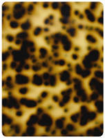 Feuille acrylique stratifiée personnalisée à motif écaille de tortue, feuille de celluloid pour décoration de guitare