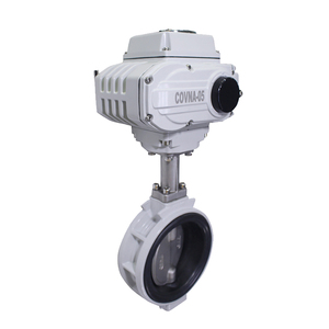 Vente de liquidation COVNA B2B : Pompe motorisée 12 pouces JIS 5K 24V avec siège en caoutchouc EPDM et corps en aluminium - Product Image 1