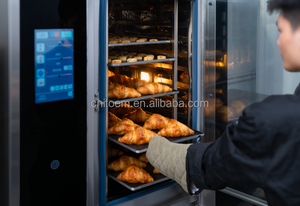 Horno Vaporizador Inteligente Profesional Comercial de 6, 10 y 20 Bandejas - Precio por 10 Hornos - Product Image 4