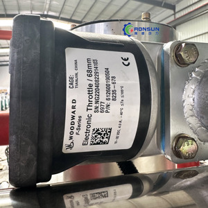 مجموعة توليد الغاز الطبيعي الصناعي 100Kw مولد الغاز الطبيعي المسال الحيوي مولد الكتلة الحيوية رقاقة - Product Image 6
