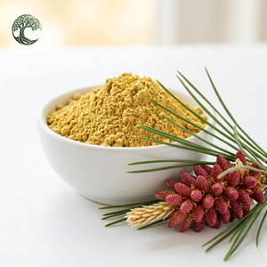 Wholesale 1kg Food Grade Pine Pollen Powder 99% Cell Wall Cracked Herbal Extract with <strong>Protein</strong> Drum Packaging - Product Image 2
