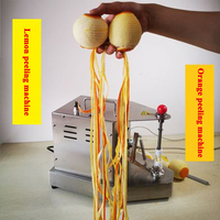 Machine à éplucher les pastèques de 1 à 6mm d'épaisseur Machine à éplucher les citrouilles, ananas et papayes Machines à enlever la peau