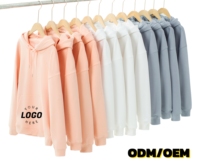 Vente en gros de sweatshirts vierges 460GSM pull à capuche unisexe en coton pour impression personnalisée sweats à capuche de rue à coupe ample écologiques