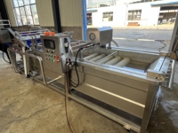 Industriële fruit- en groentewasmachine/reinigingsapparatuur automatische grote commerciële continue bladwasmachine