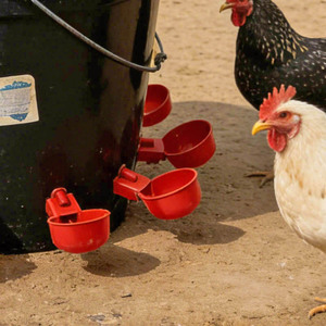 Bebederos automáticos para pollos, patos, gansos, codornices, pollitos, patos y aves; comederos para aves de corral. - Product Image 3