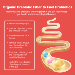 Cápsulas Probióticas y Prebióticas Premium, 60 Mil Millones de UFC, 19 Cepas, 100% Naturales y Orgánicas, Apoya la Salud Digestiva e Inmunológica del Intestino en Adultos - Product Image 5