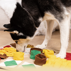 Alfombrilla Olfativa <span class=keywords><strong>para</strong></span> Mascotas, Tapete Interactivo de Rompecabezas <span class=keywords><strong>para</strong></span> <span class=keywords><strong>Perros</strong></span> y Gatos, <span class=keywords><strong>para</strong></span> Entrenamiento Olfativo, Alimentación Lenta y Alivio del Estrés - Product Image 4