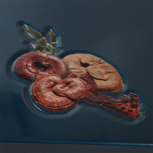 Caja de Embalaje Rectangular de Alta Gama para Ganoderma Lucidum, con Forro de Satén, para Regalo, de 3 Niveles, Origen China - Product Image 3